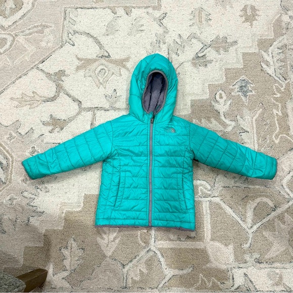 Toddler 4T North Face Mossbud swirl jacket - Picture 1 of 4